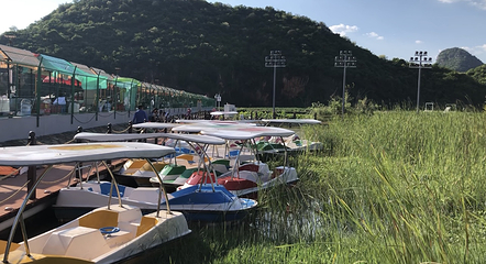 普者黑仙语青丘谷生态旅游区第 24 张图片
