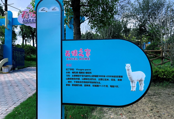 森灵欢乐世界第 49 张图片