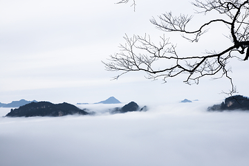 光雾山旅游景区第 65 张图片