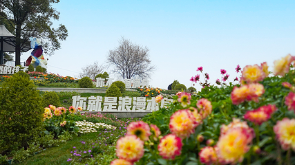 巴滨花艺园第 8 张图片