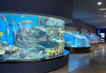 济州岛Aqua Planet水族馆第 31 张图片