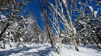 亚布力戏雪景区第 5 张图片