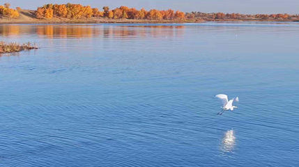 塔塔秘境-罗布湖风景游览区第 21 张图片