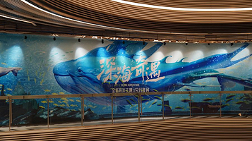 《深海奇遇》全新海洋主题VR沉浸展