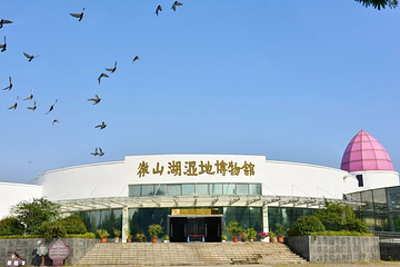 滕州微山湖红荷湿地第 64 张图片