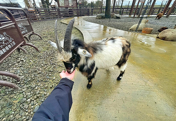 兰阳动植物王国第 35 张图片