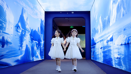 上海海洋水族馆第 25 张图片