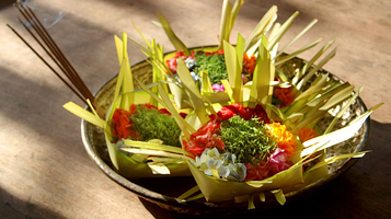 Botanika Wellness - by Ekosistem