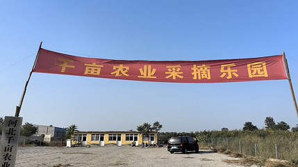 河北千亩农业采摘园第 1 张图片