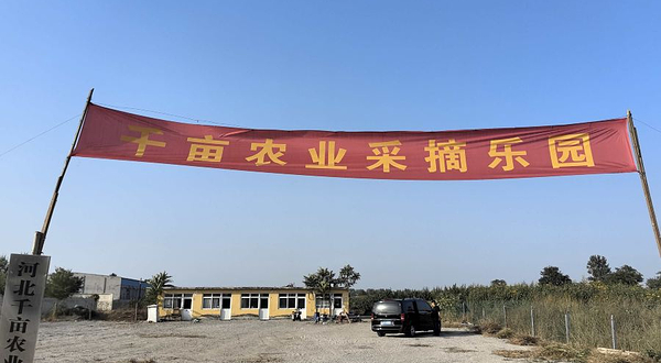 河北千亩农业采摘园