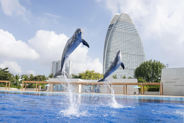三亚亚特兰蒂斯失落的空间水族馆第 43 张图片