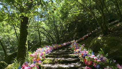 苍龙峡风景区第 16 张图片