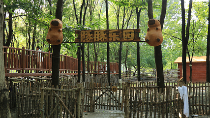 北戴河集发梦想王国第 202 张图片