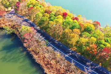 泗洪洪泽湖湿地景区第 13 张图片