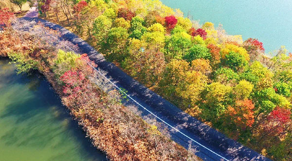 泗洪洪泽湖湿地