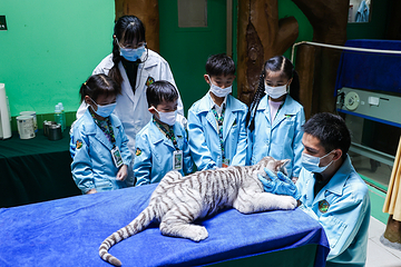 长隆野生动物世界第 25 张图片