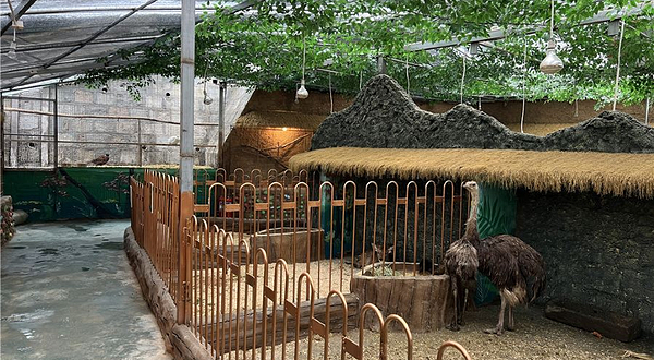 青岛森林萌宠互动乐园