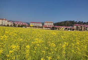 镇北艺术田园景区第 4 张图片