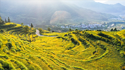 江岭景区第 23 张图片