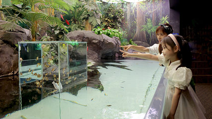 上海海洋水族馆第 80 张图片