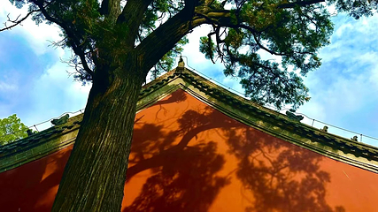 灵岩寺第 59 张图片