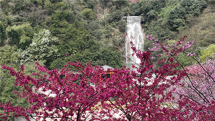 王仙岭旅游风景区第 31 张图片