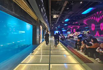 石家庄海洋公园(海悦天地购物广场店)第 9 张图片