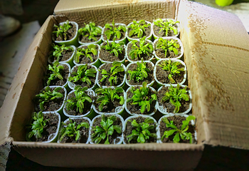 拾光山谷第 25 张图片