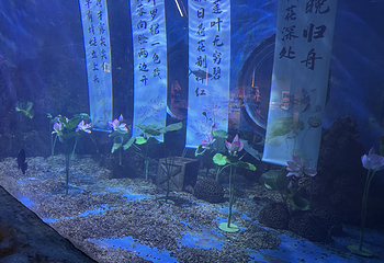 南京海昌海洋探索馆第 62 张图片
