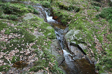 苍龙峡风景区第 13 张图片