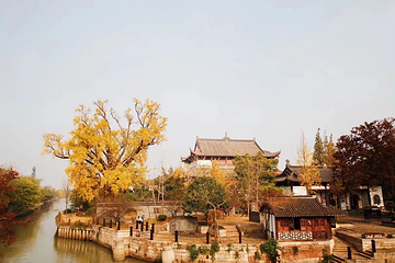 梅花洲第 64 张图片