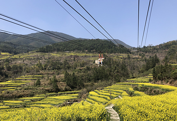 江岭景区第 83 张图片