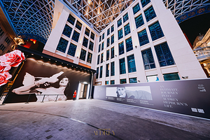 《亲密的奥黛丽·赫本》