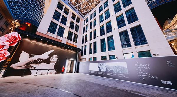 《亲密的奥黛丽·赫本》