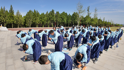 岜山中医药健康旅游示范基地第 44 张图片