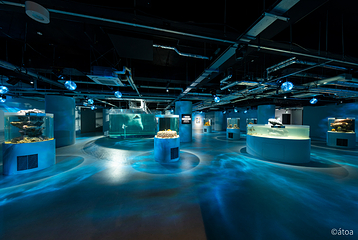神户都市型水族馆 AQUARIUM×ART átoa第 34 张图片