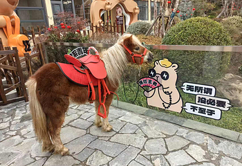 无锡太湖植物园第 17 张图片