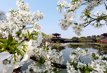 三国水浒景区(中央电视台无锡影视基地)第 4 张图片