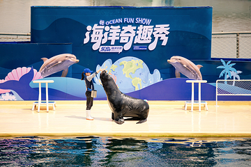 乐岛海洋王国第 14 张图片