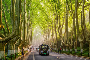 钟山风景名胜区第 21 张图片