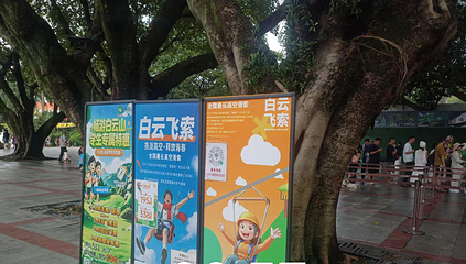白云飞索第 48 张图片