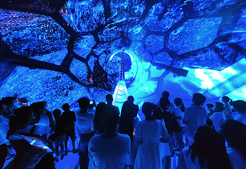 仙凤三宝幻境空间第 9 张图片
