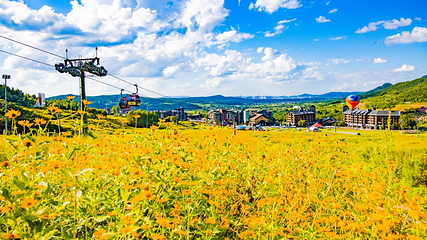 中旅松花湖度假区第 85 张图片