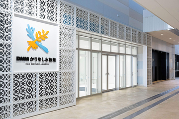 DMM Kariyushi水族馆第 2 张图片