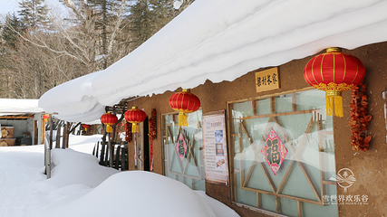 雪乡雪世界欢乐谷第 31 张图片