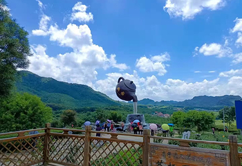 茶趣园第 33 张图片