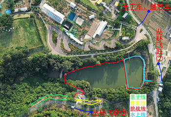 奇乐丛林飞跃树上探险乐园第 2 张图片