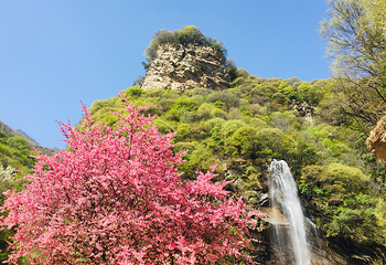 少华山国家森林公园第 35 张图片