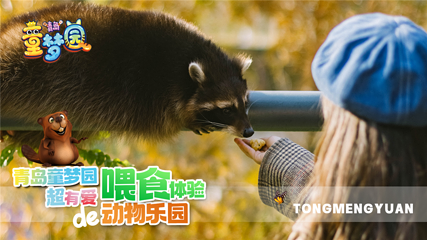 青岛童梦园第 13 张图片
