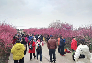 诗一草堂第 7 张图片